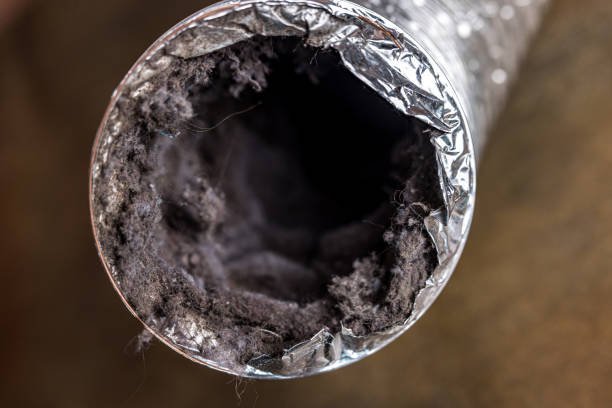 Best Air Vent Cleaning Services  in Wood Village, OR